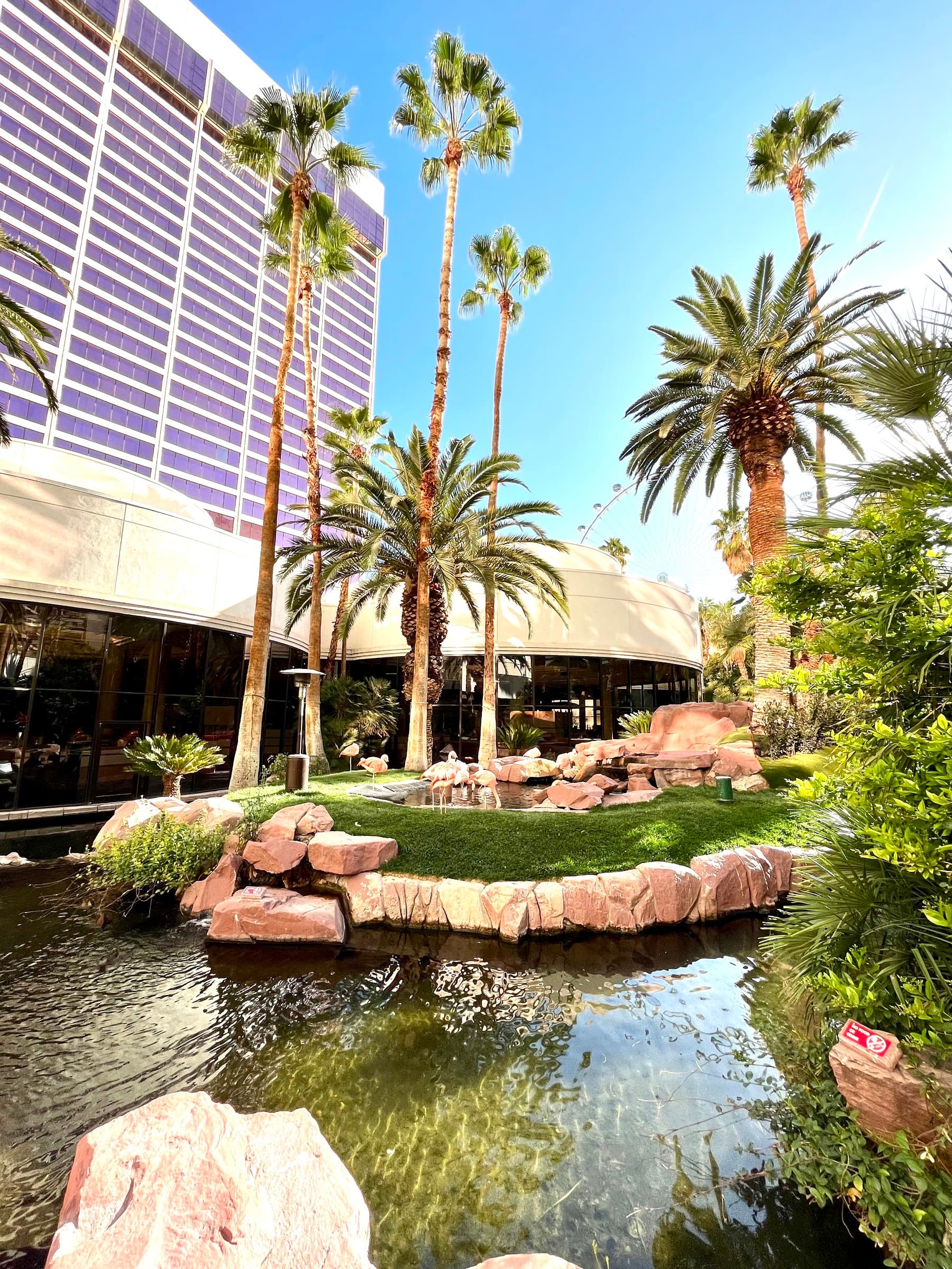 Flamingo Las Vegas Hotel & Casino photo 5